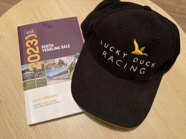 Playing The Yearling Sales Lottery