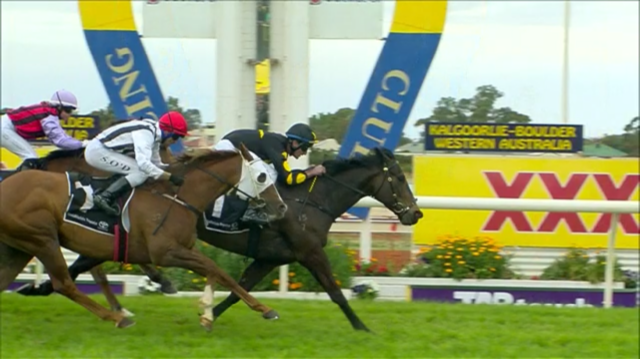 Prize Pursuit : Coolgardie Sprint Preview.