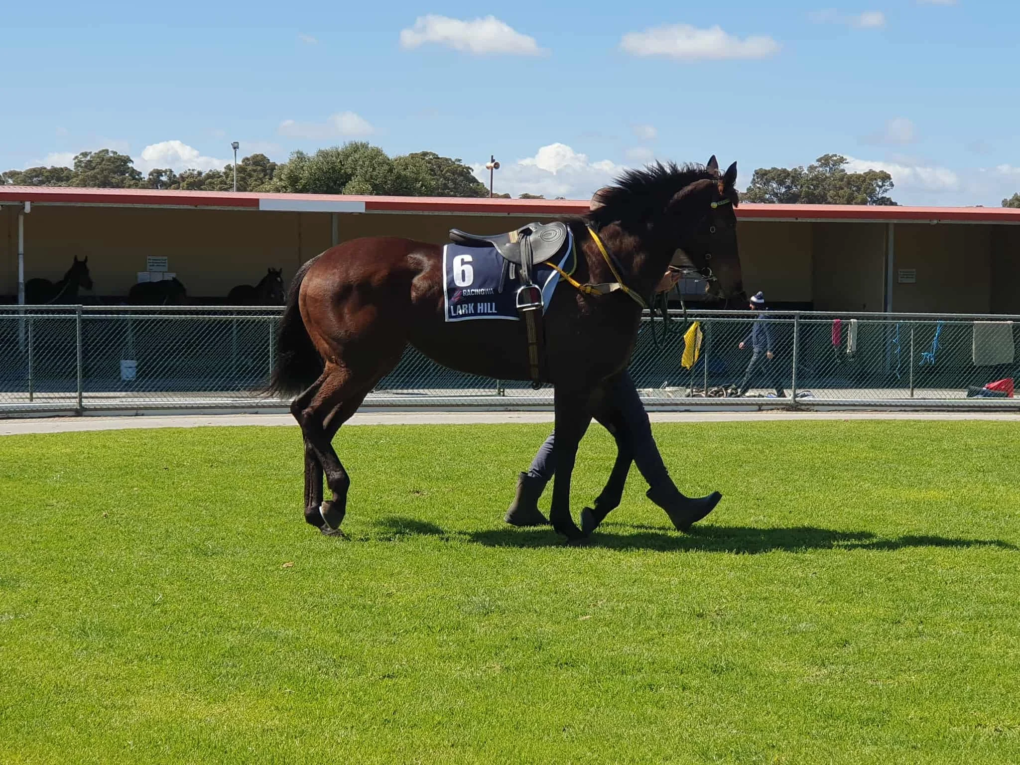 Quiet  Goddess set to make some Noise at Northam.