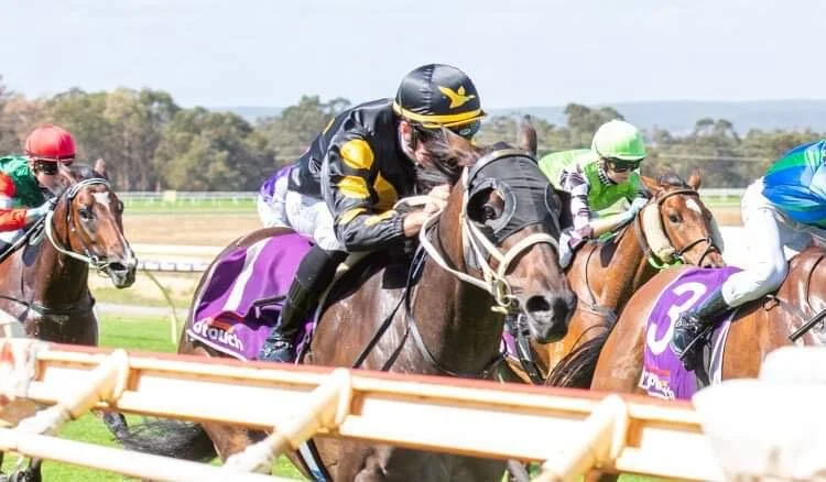 Runner Alert : Frantic War Boxing Day @ Albany