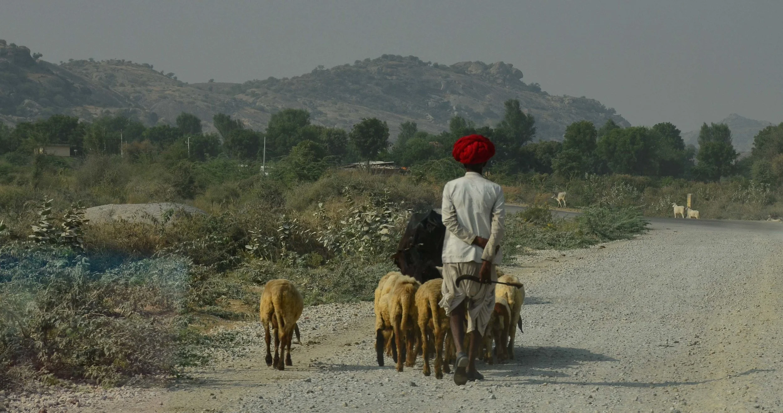 Jodhpur, India 2012