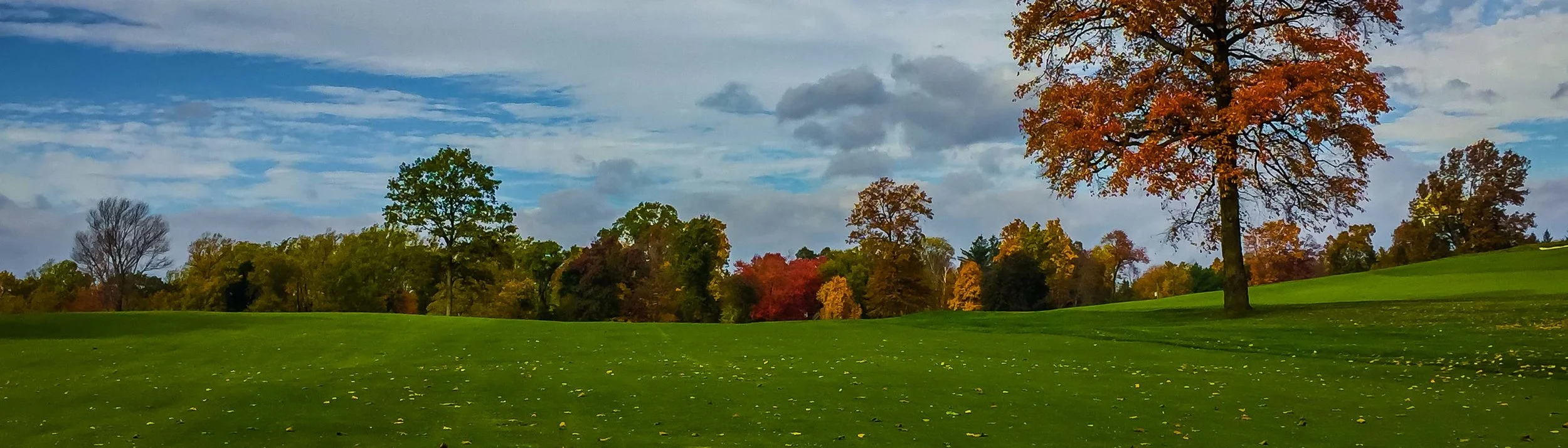 Golf Course SCC 2018- HAP (5 of 33).jpg