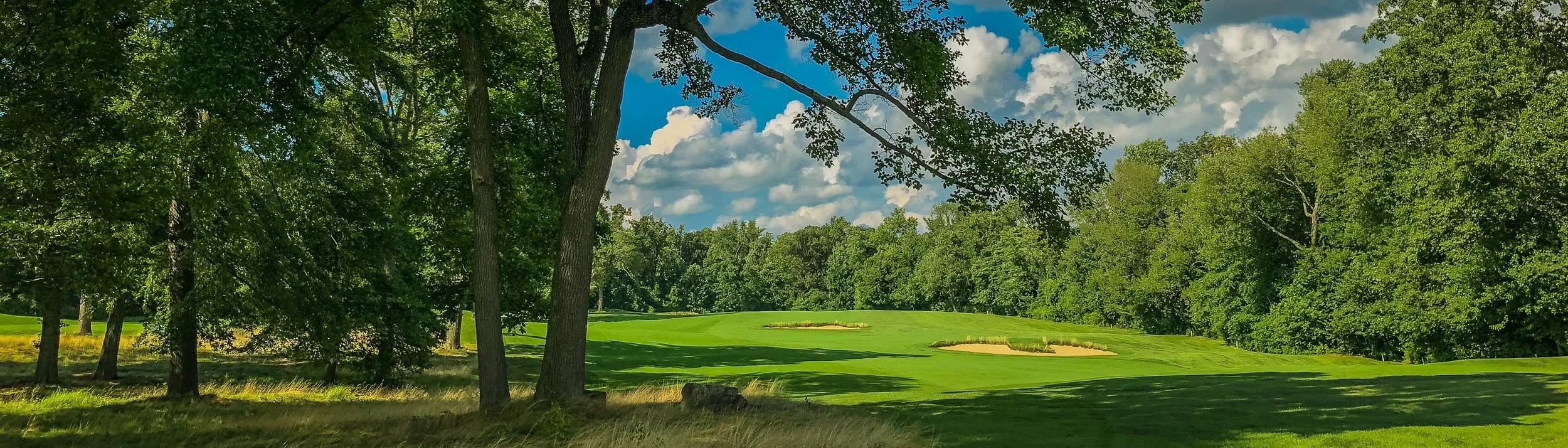 SCC 2018 Golf #6- HAP (4 of 7).jpg