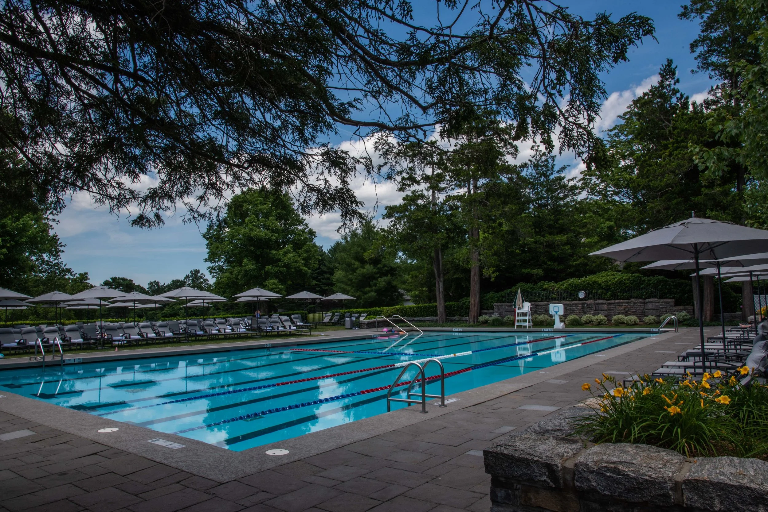 Pool SCC 2018- HAP (8 of 20).jpg