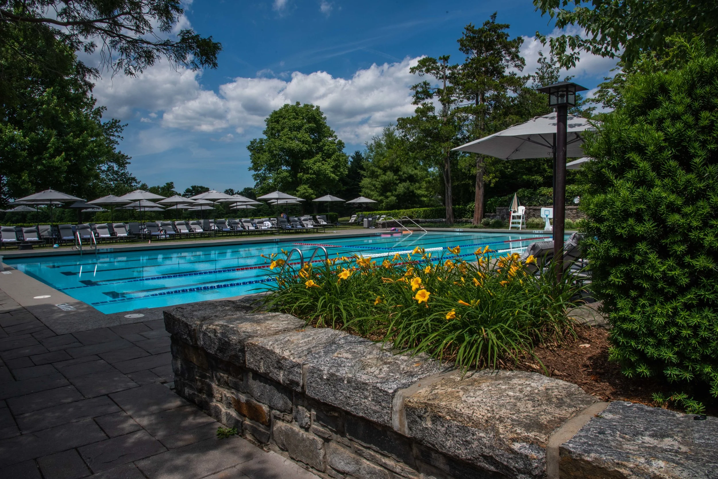 Pool SCC 2018- HAP (10 of 20).jpg