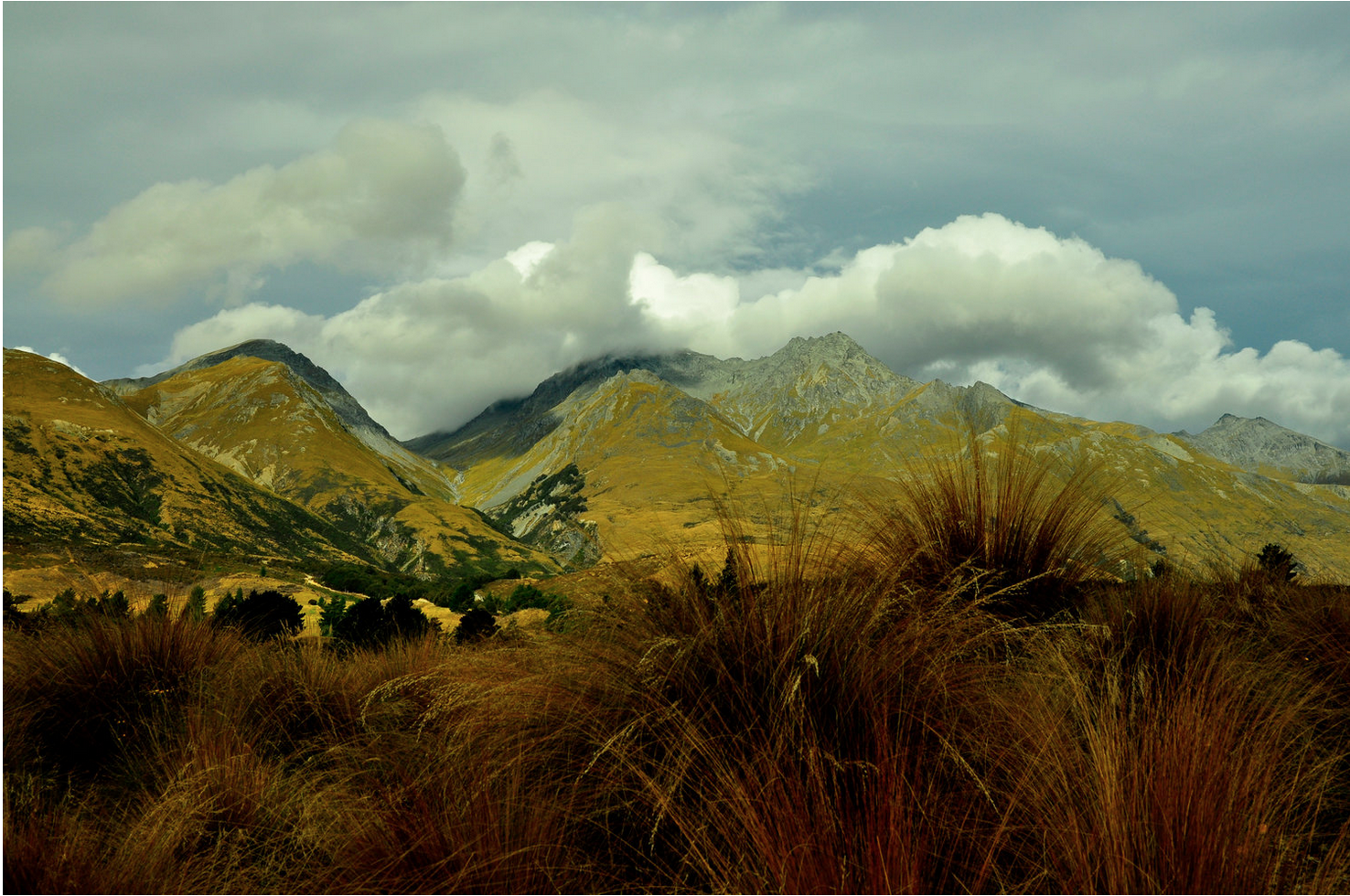 Landscapes