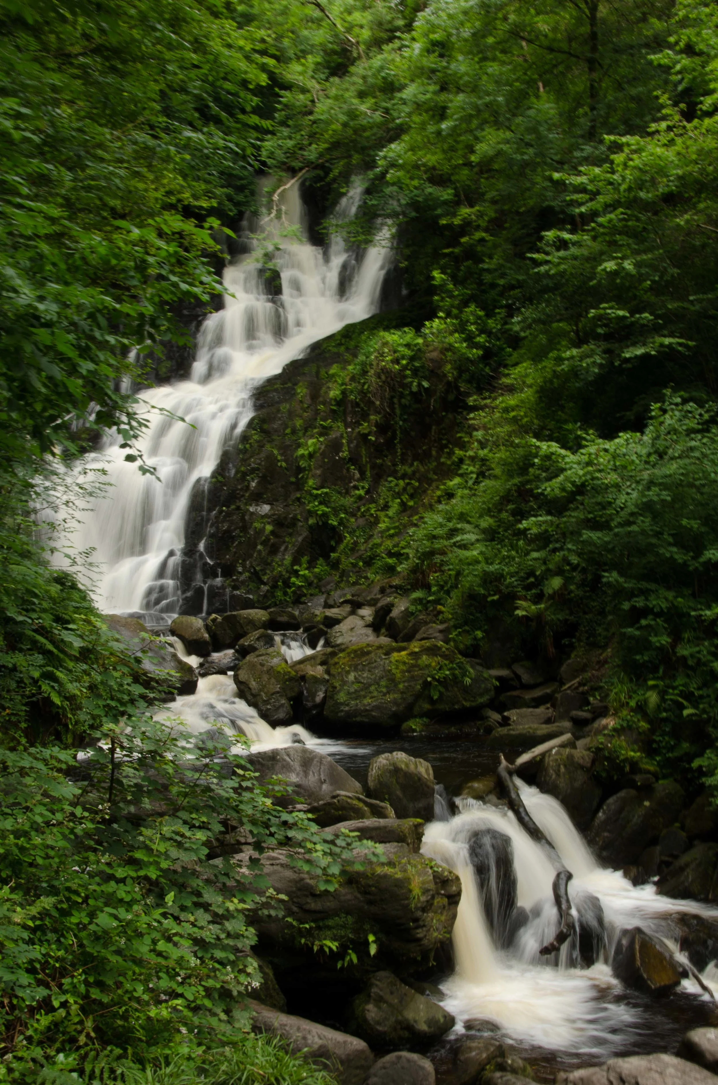 Killarney National Park. Kilarney, Ireland 2015