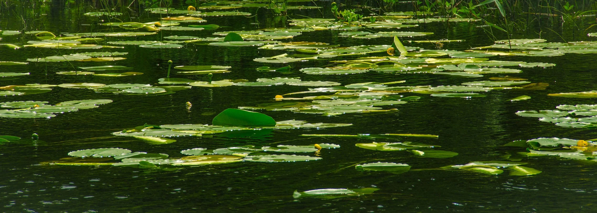 Kylemore Abbey,.Connemara, Ireland 2015