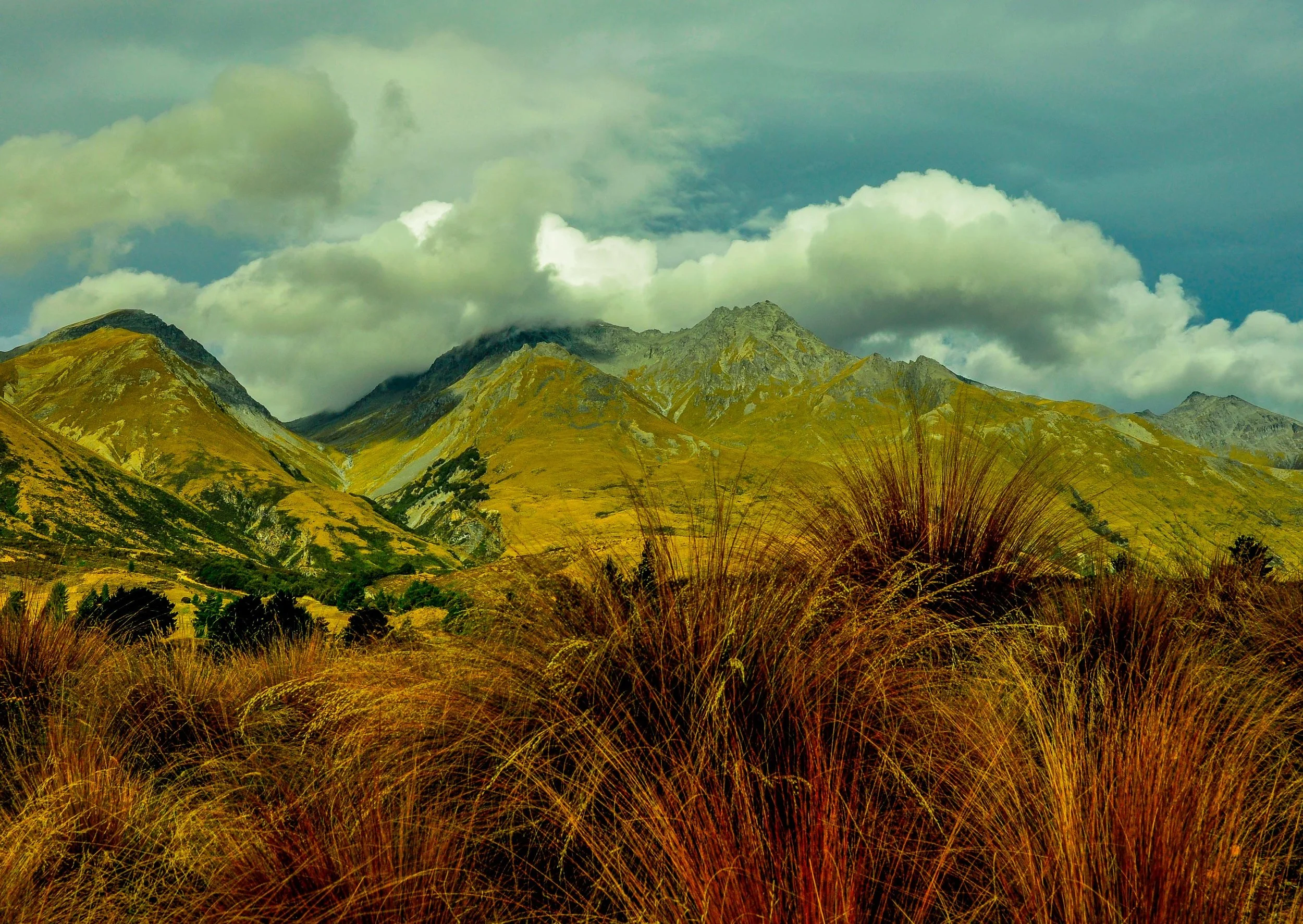 Landscape - Blanket Bay, New Zeland 2010