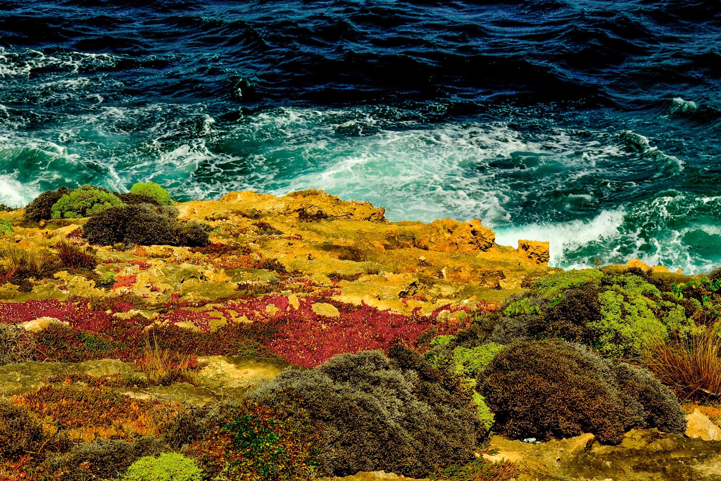 Waterscape - Kangaroo Island, Australia 2010