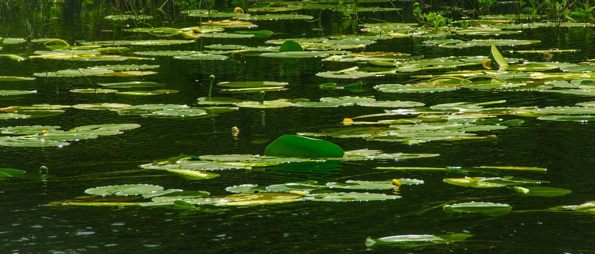 Waterscape - Kylemore Abbey,.Connemara, Ireland 2015
