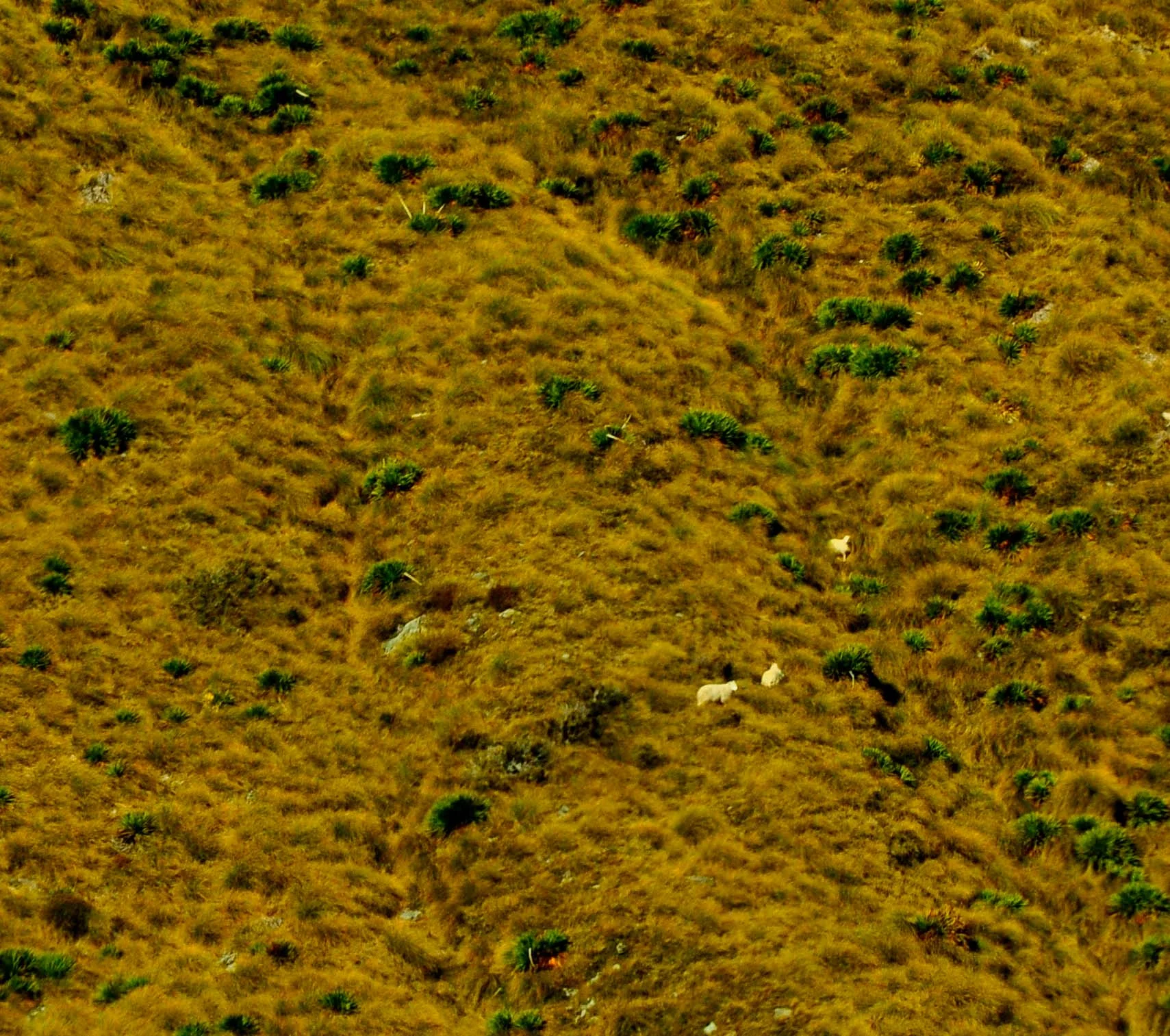 Milford Sound, New Zealand 2010