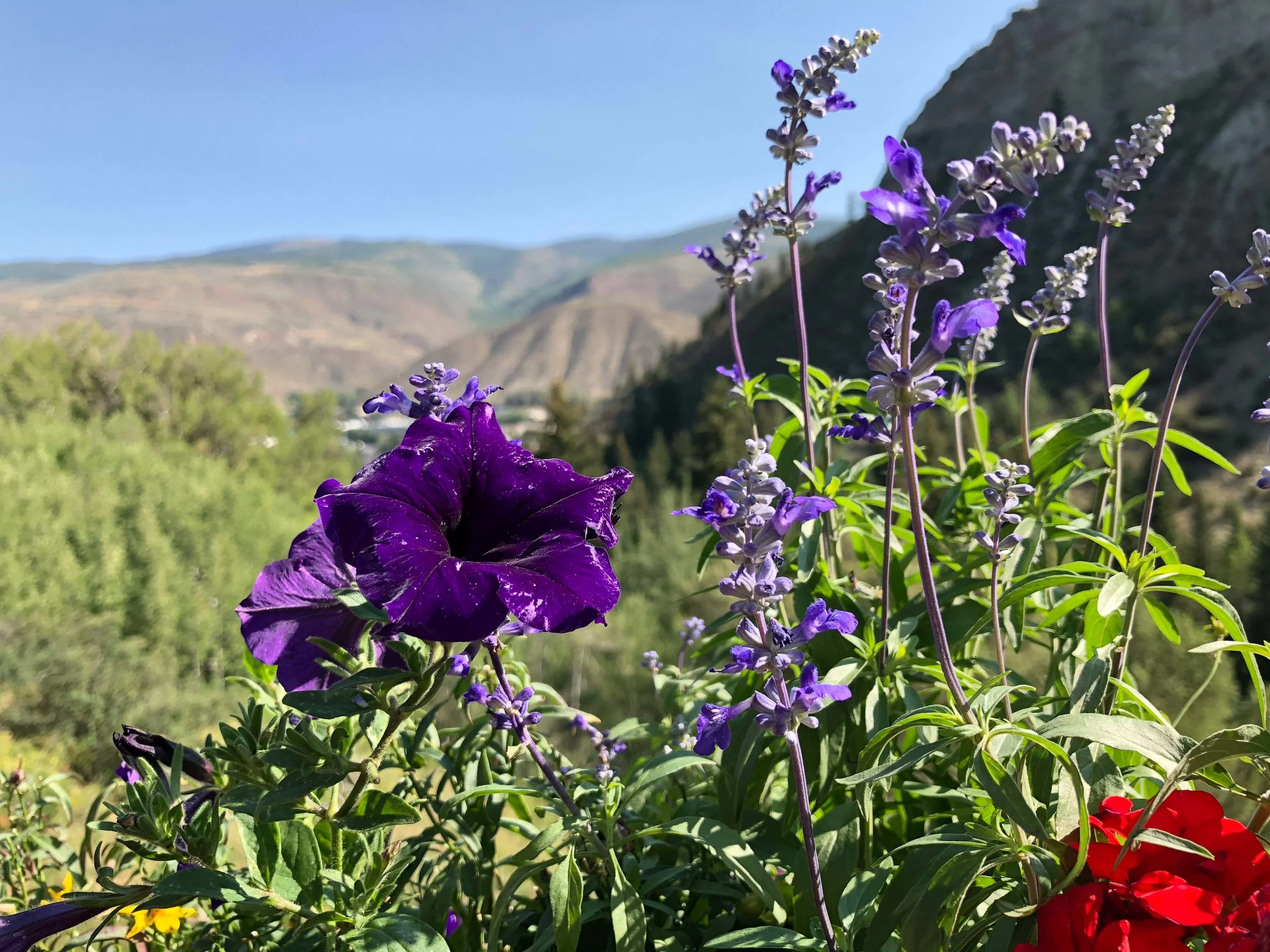 Beaver Creek, Colorado 2018