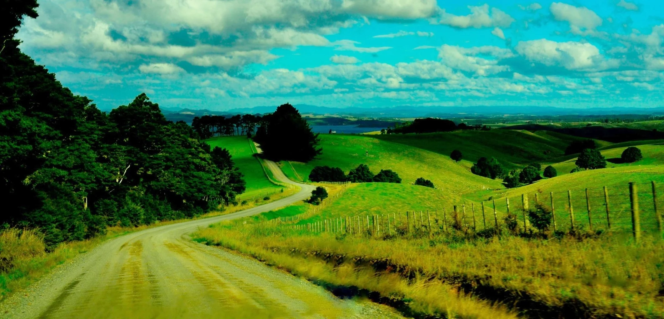 Landscape - Kauri Cliffs, New Zealand 2010g