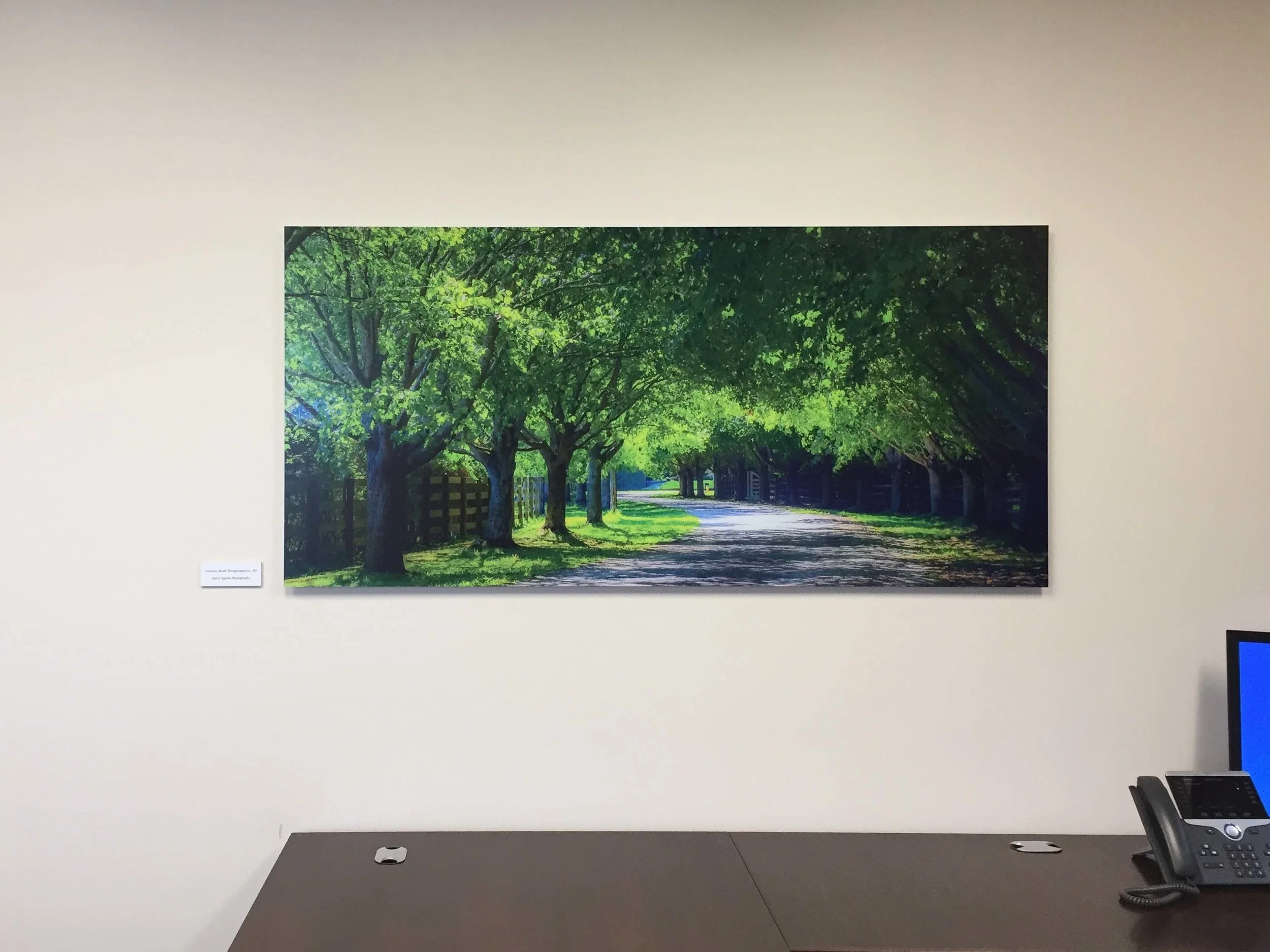 Weill Cornell Frameless Samples- HAP Website-10.jpg