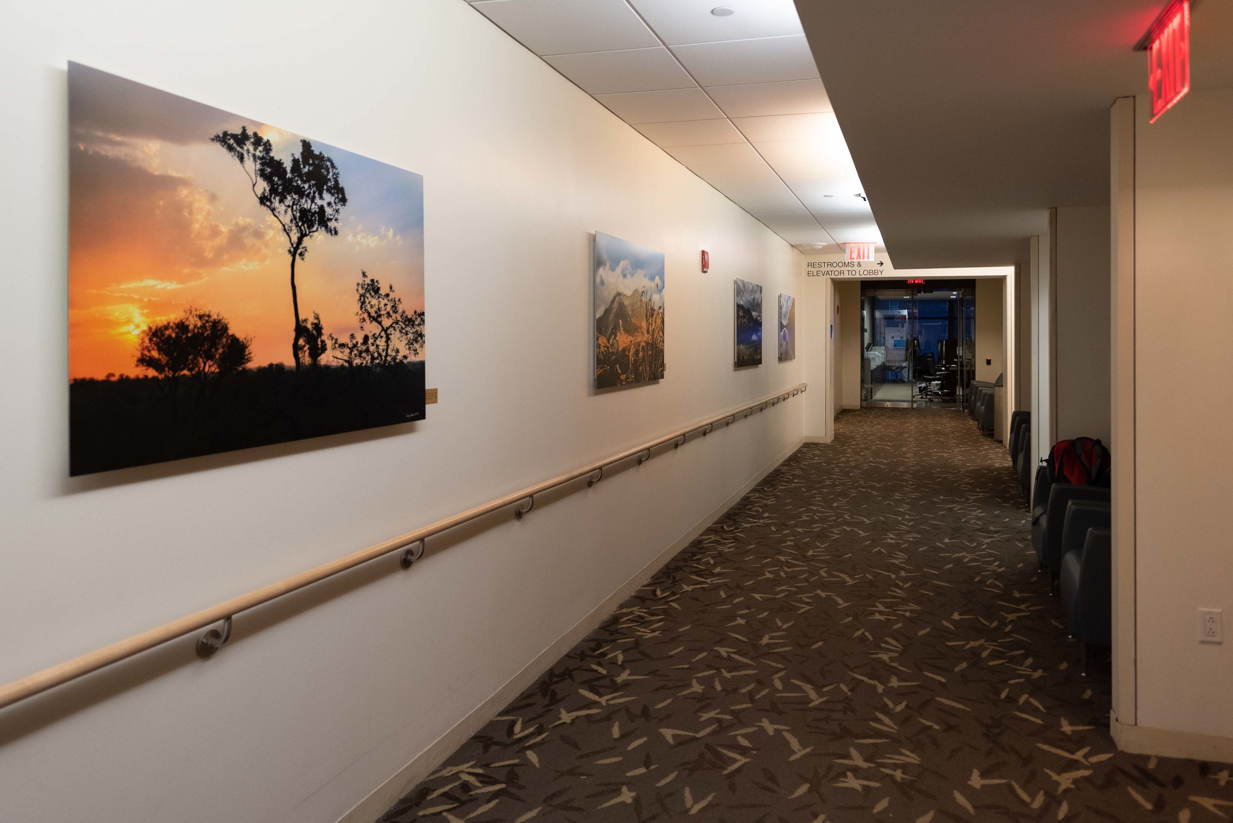 Weill Cornell Frameless Samples- HAP Website-19.jpg