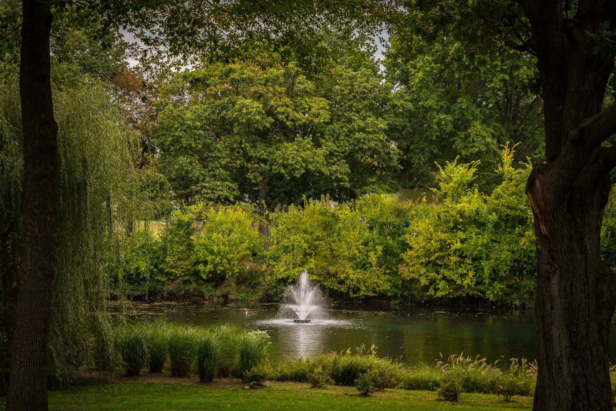 Weasel Brook Park/Lake. Clifton, NJ