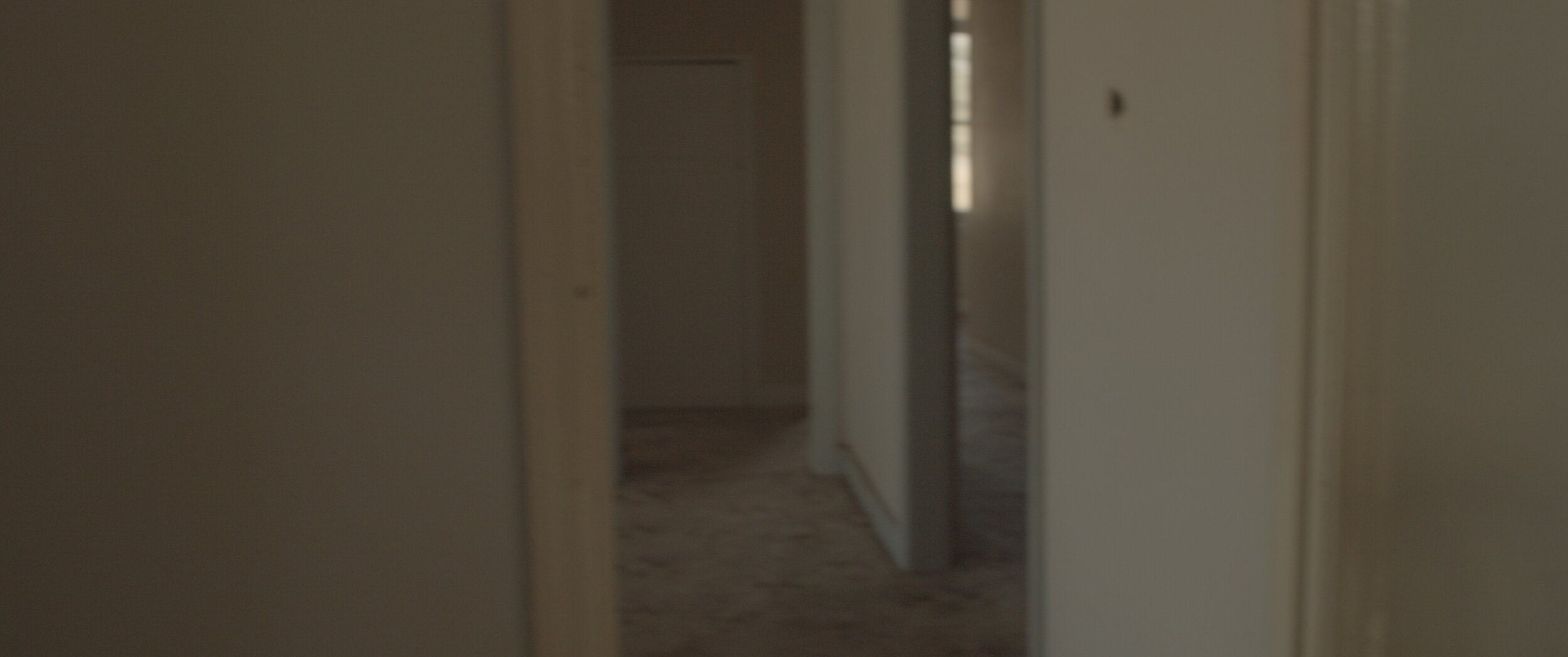 Long Shot_1.79.4.jpg