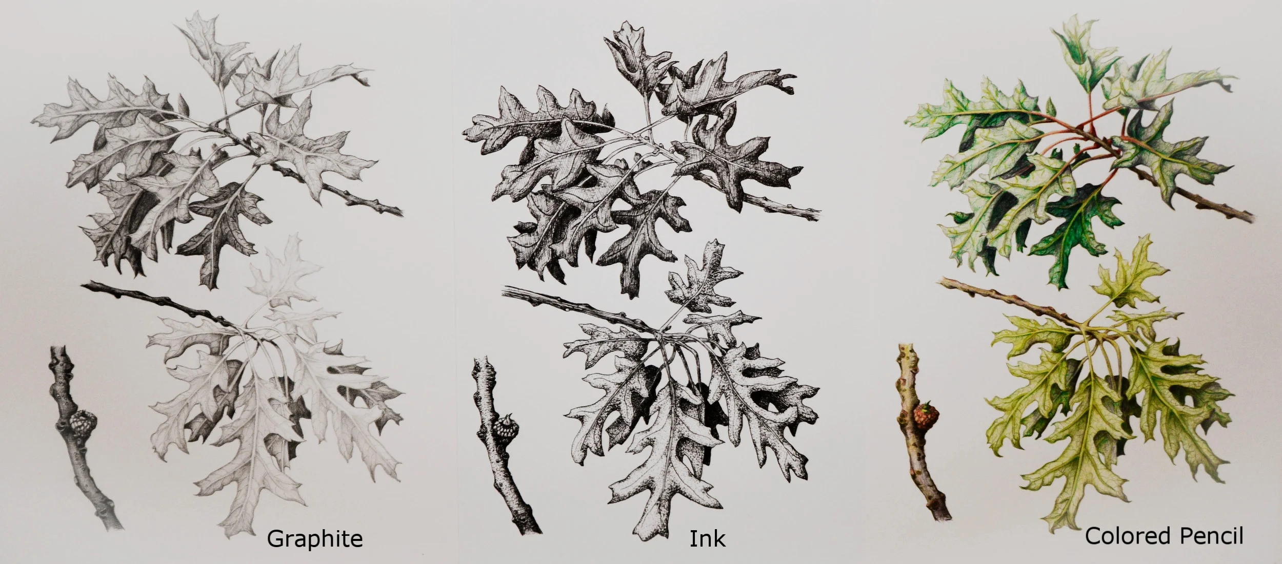 bot draw 13.jpg