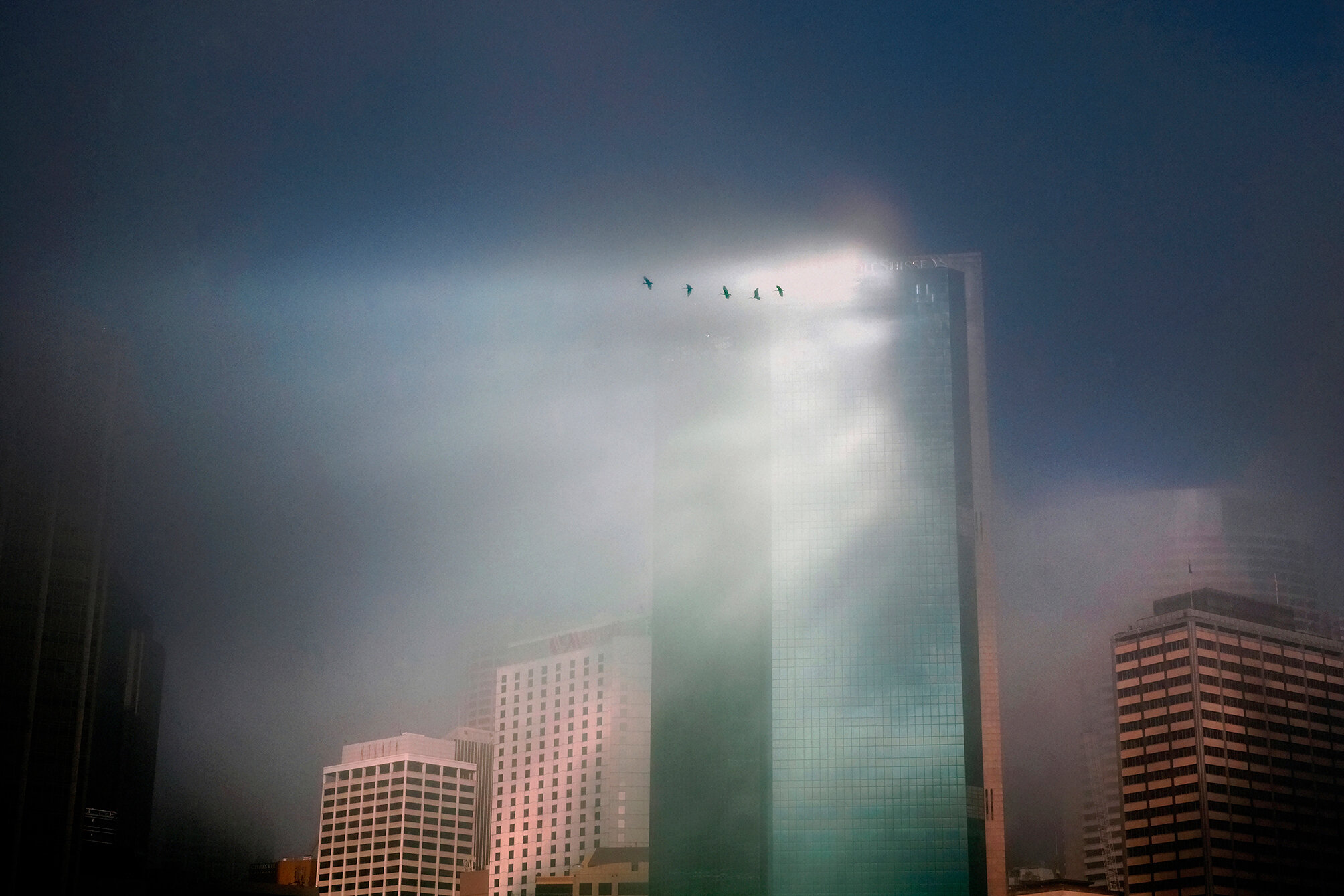 5_sam_ferris_in_visible_light_street_photography_sydney_australia.jpg