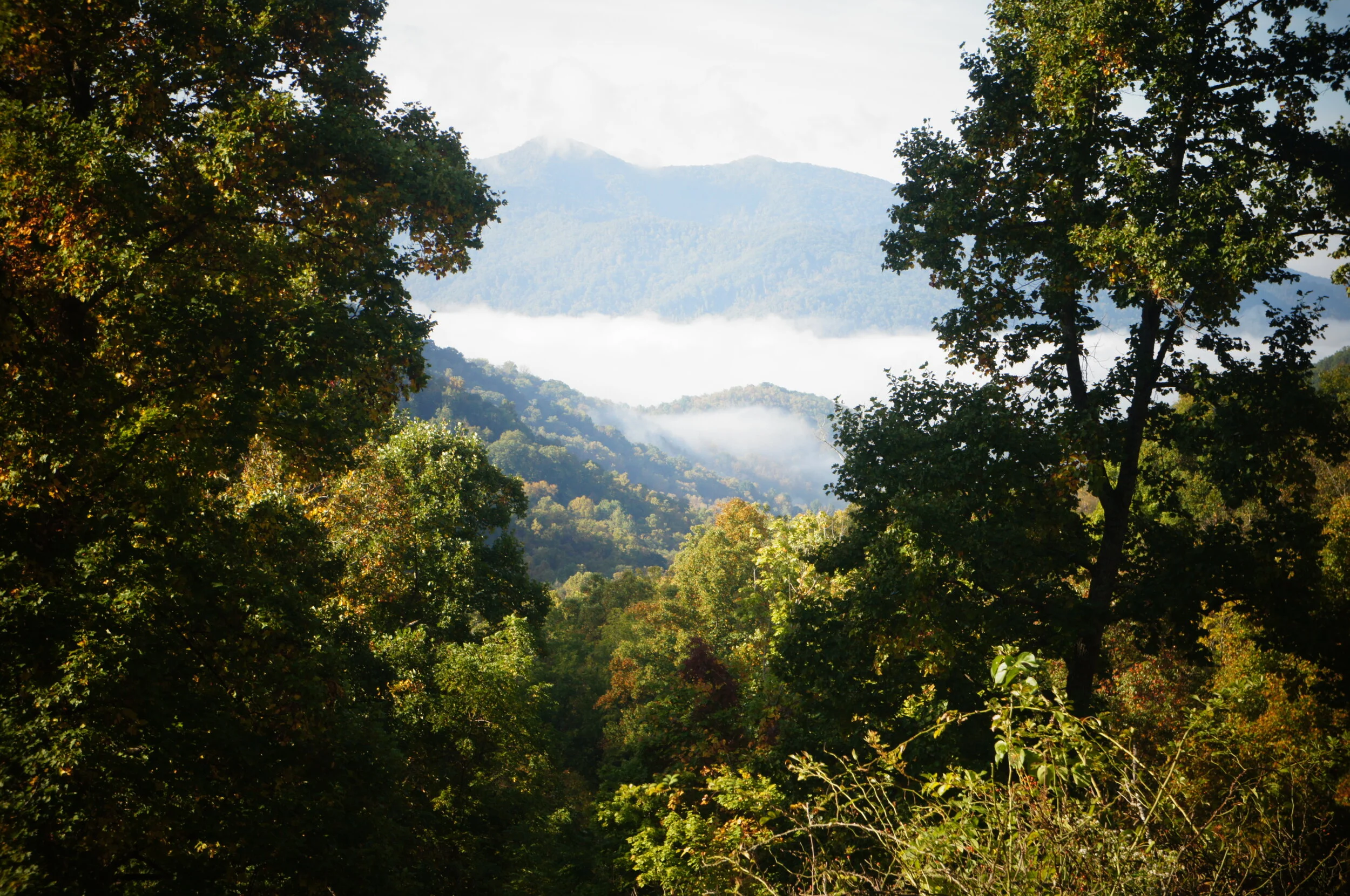 mountain pic.JPG