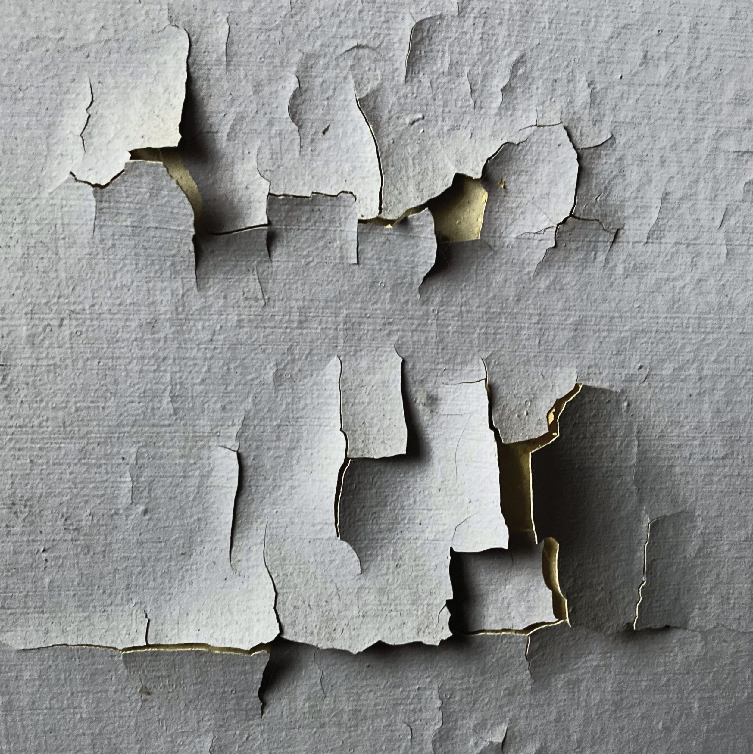 Texture6.2023 copy.jpeg