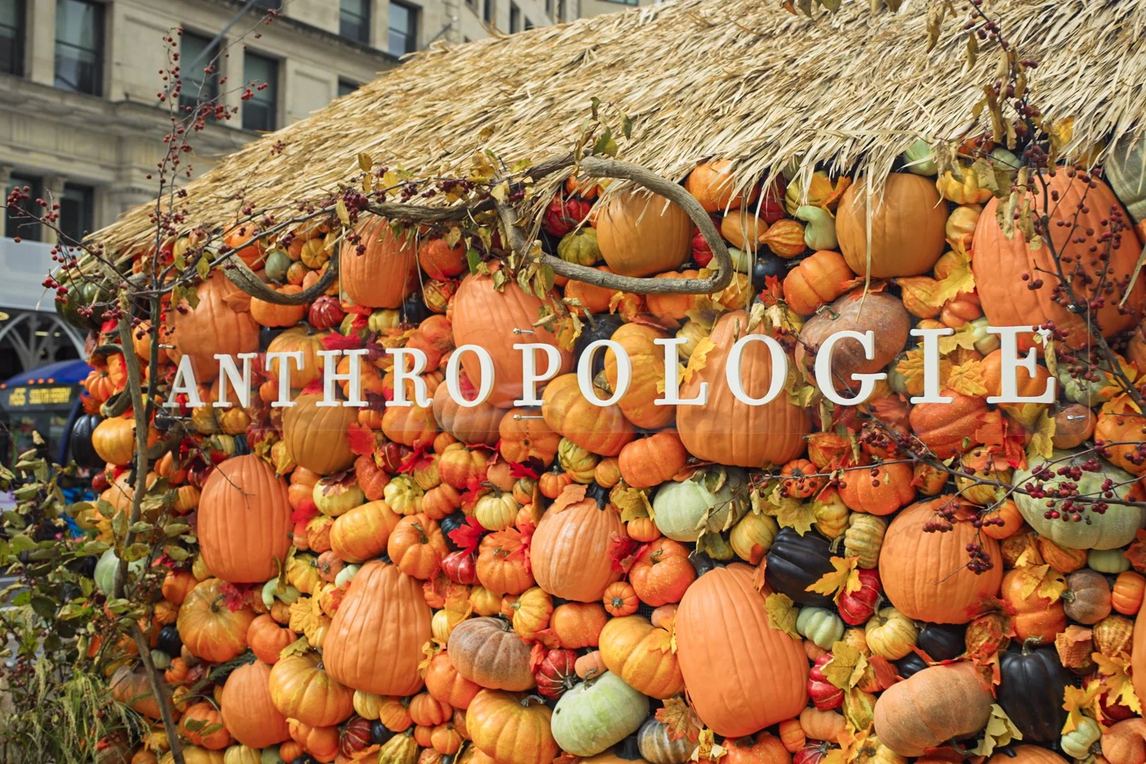 Anthropologie-07.jpg