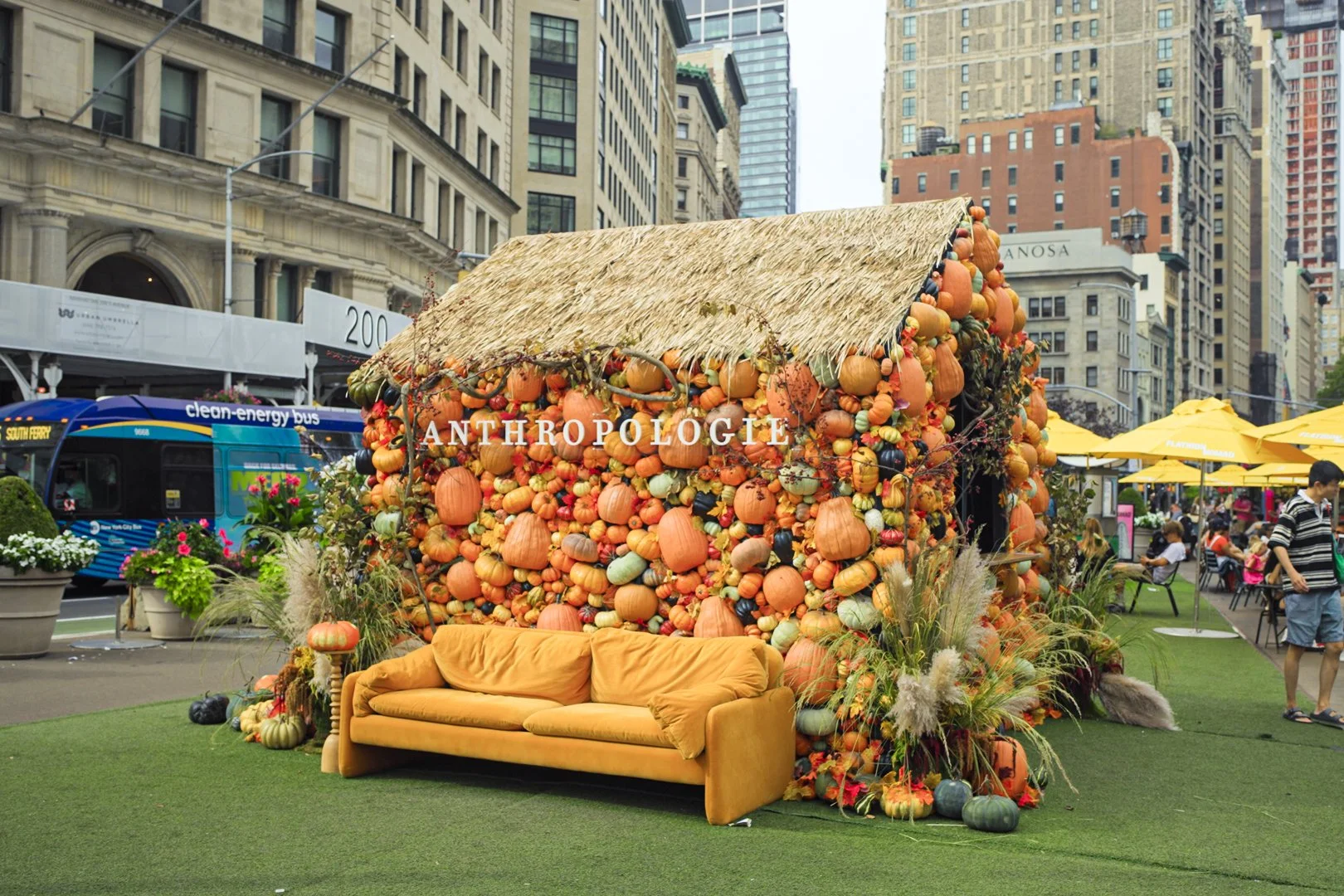 POP-UP PUMPKIN BOUTIQUE 