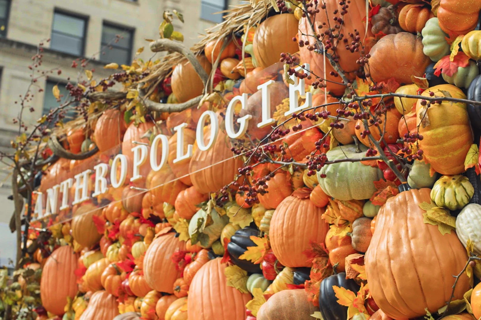 Anthropologie-13.jpg