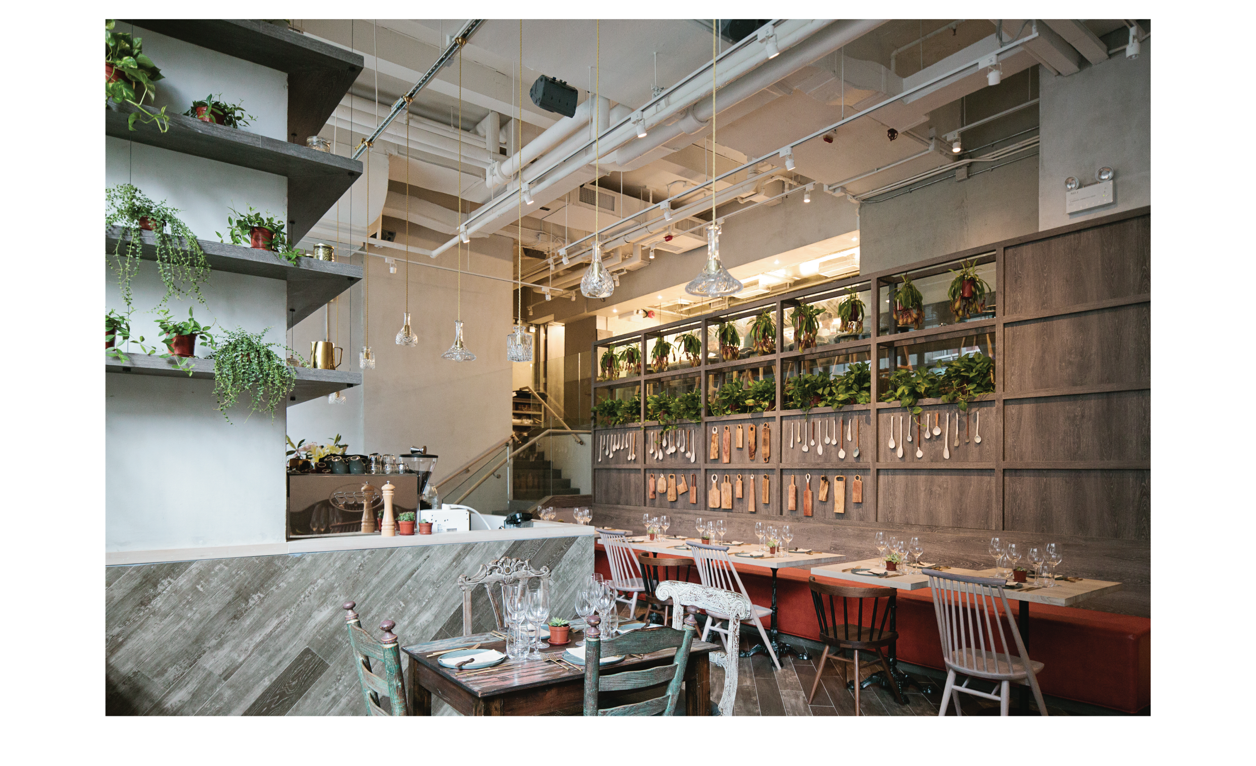 GRASSROOTS WEB-06.png