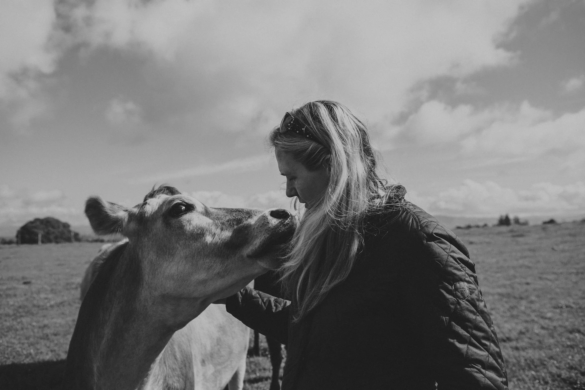 Michelle Westling Photography Sonoma County Photographer_0013.jpg