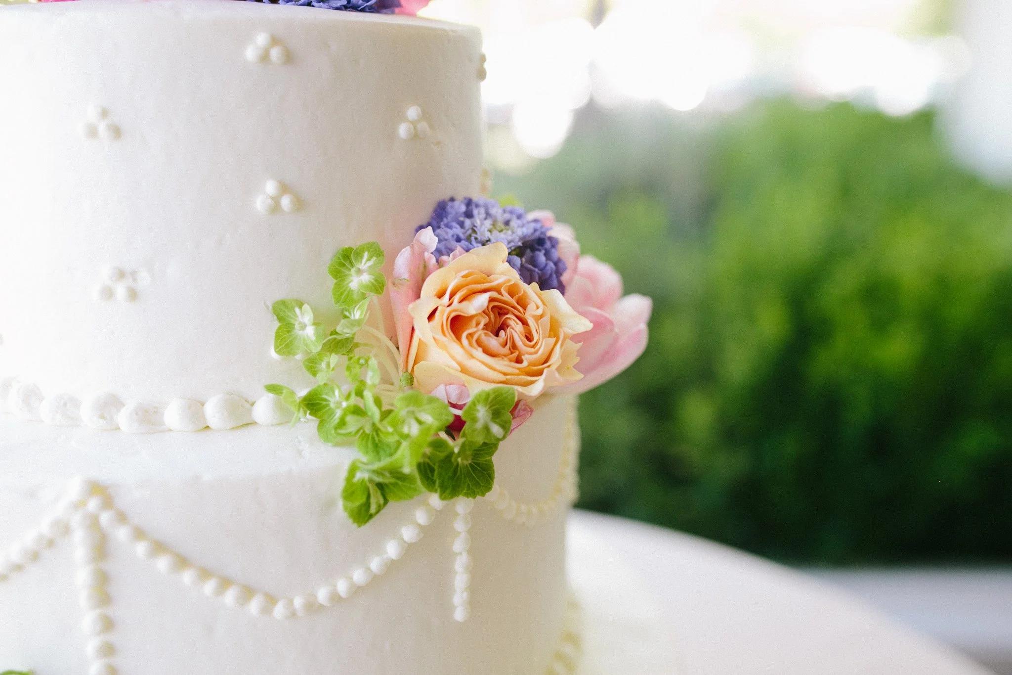 Michelle Westling Photography Marin County Photographer_0109.jpg