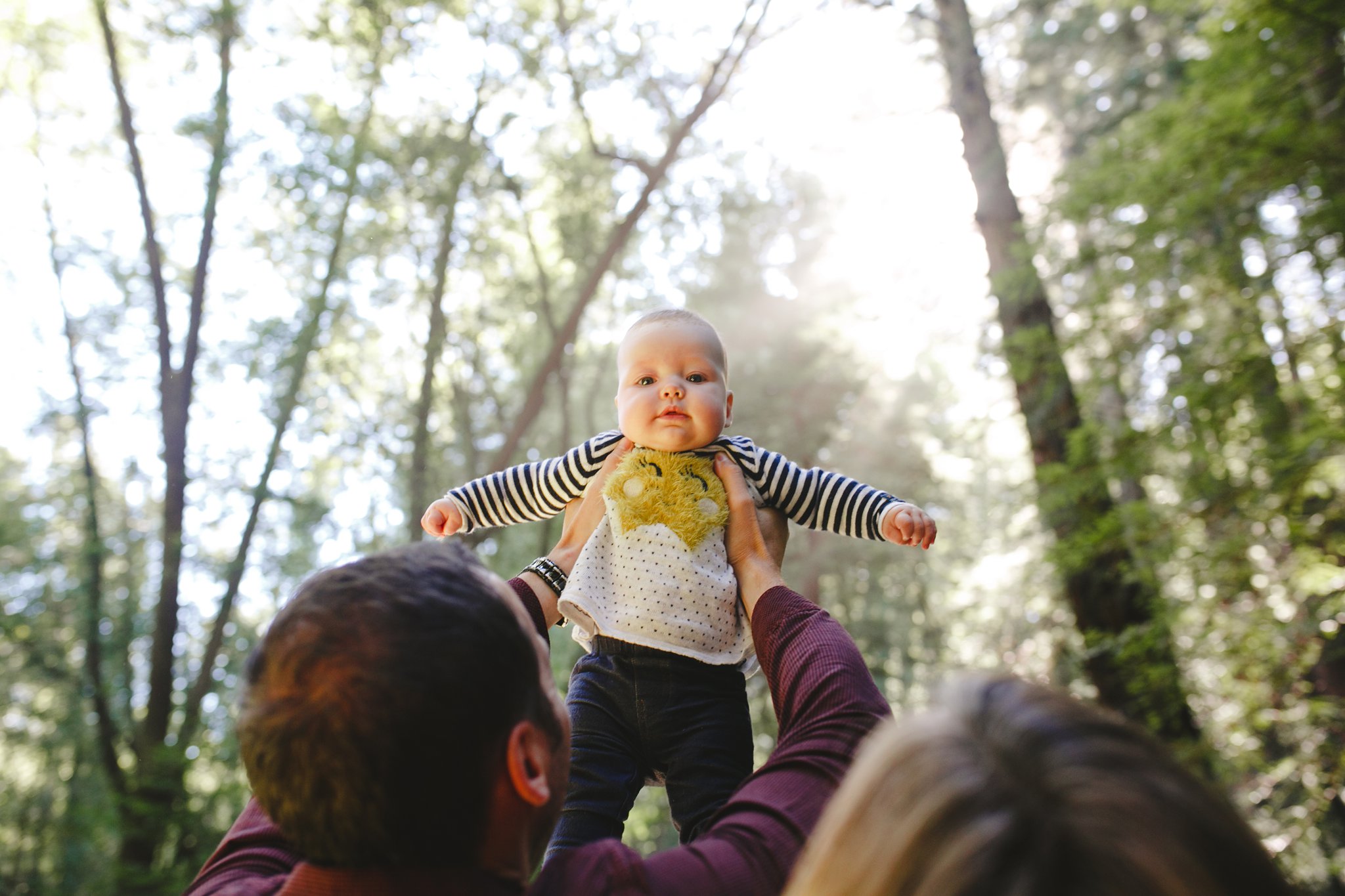 Fairfax Redwoods family photo shoot