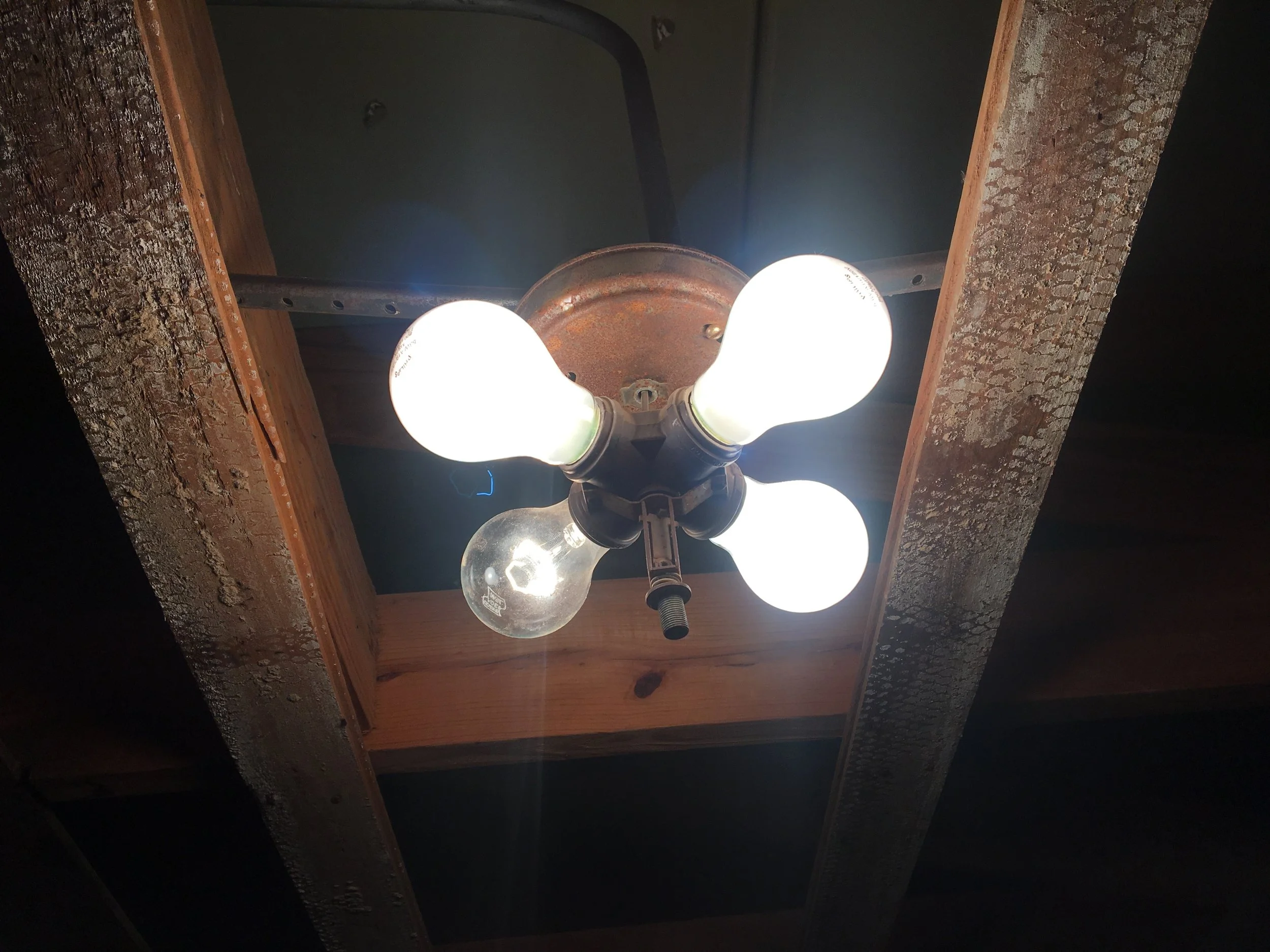 IMG_3624.jpeg