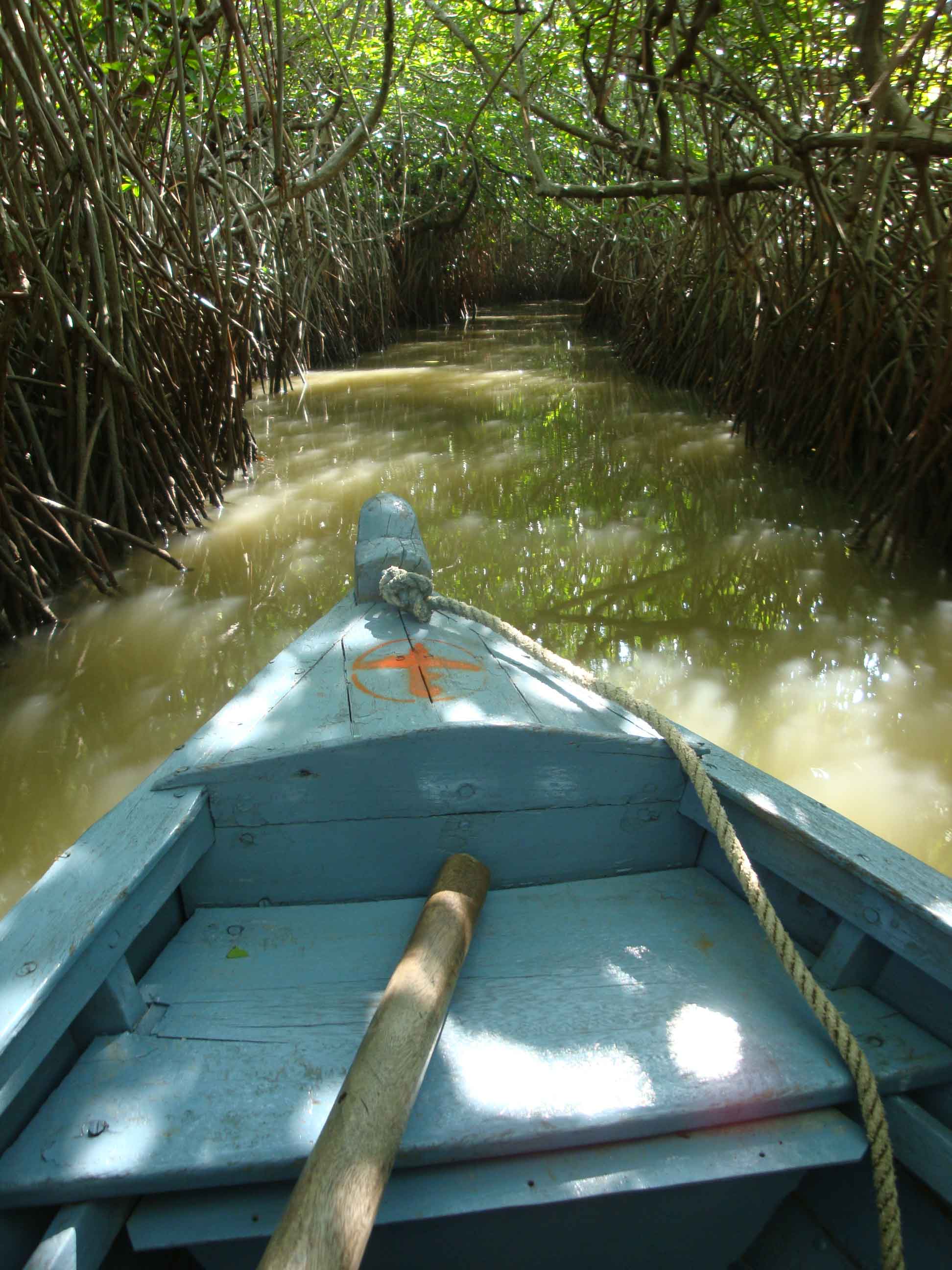 pichavaram1.jpg