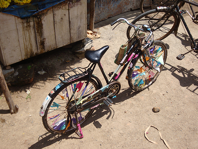 cycle_646.jpg