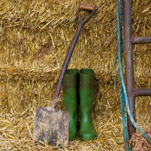 farm_04.jpg