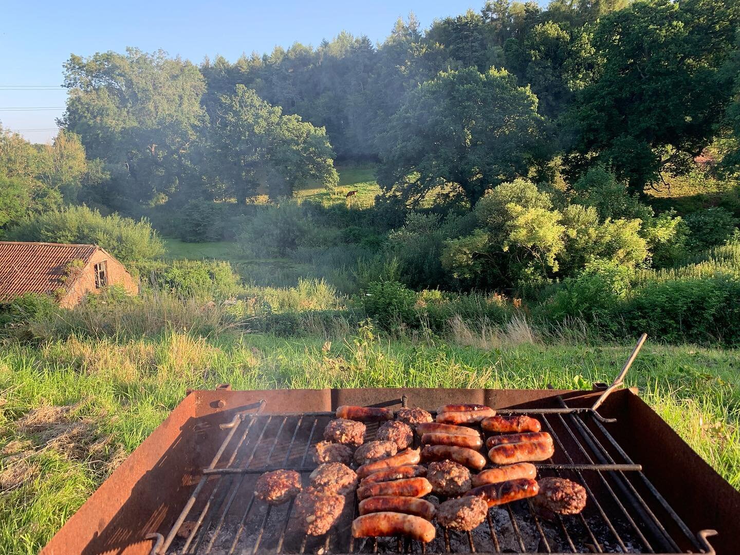 Beautiful evening for an impromptu simple BBQ  in the garden, weather dictating home made burgers and sausages and lots of salad. Seemed to have 4 dogs with us who enjoyed it too 
#summer
#bbq 
#somerset 
#countrystyle 
#family