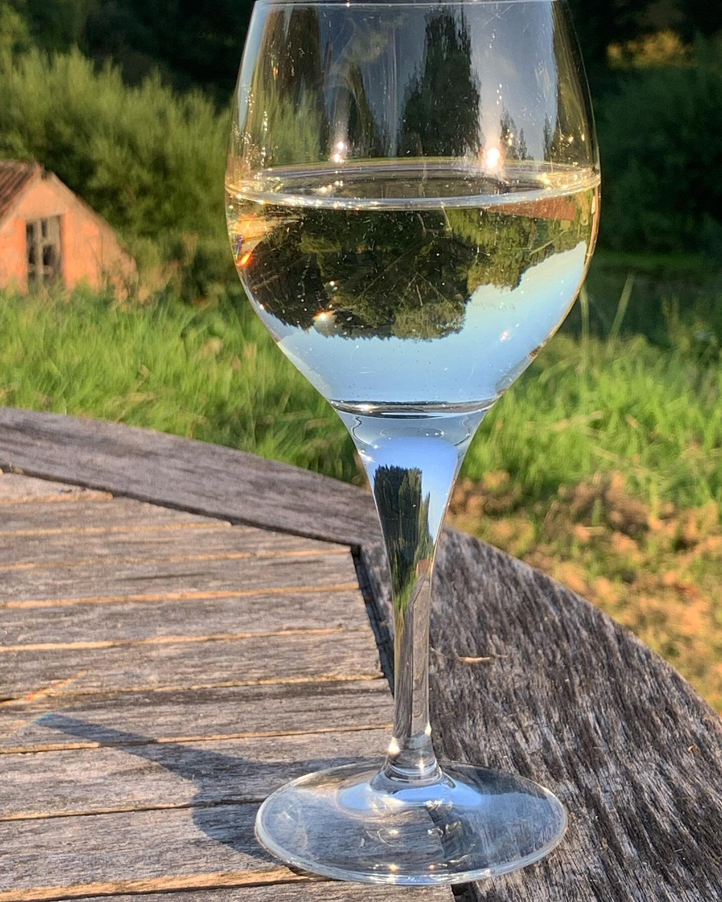 A glass of Summer in Somerset , If only it could be bottled and brought out on a cold grey winter&rsquo;s day, memories of hot summer days
#summer 
#somerset 
#memories 
#blueskies