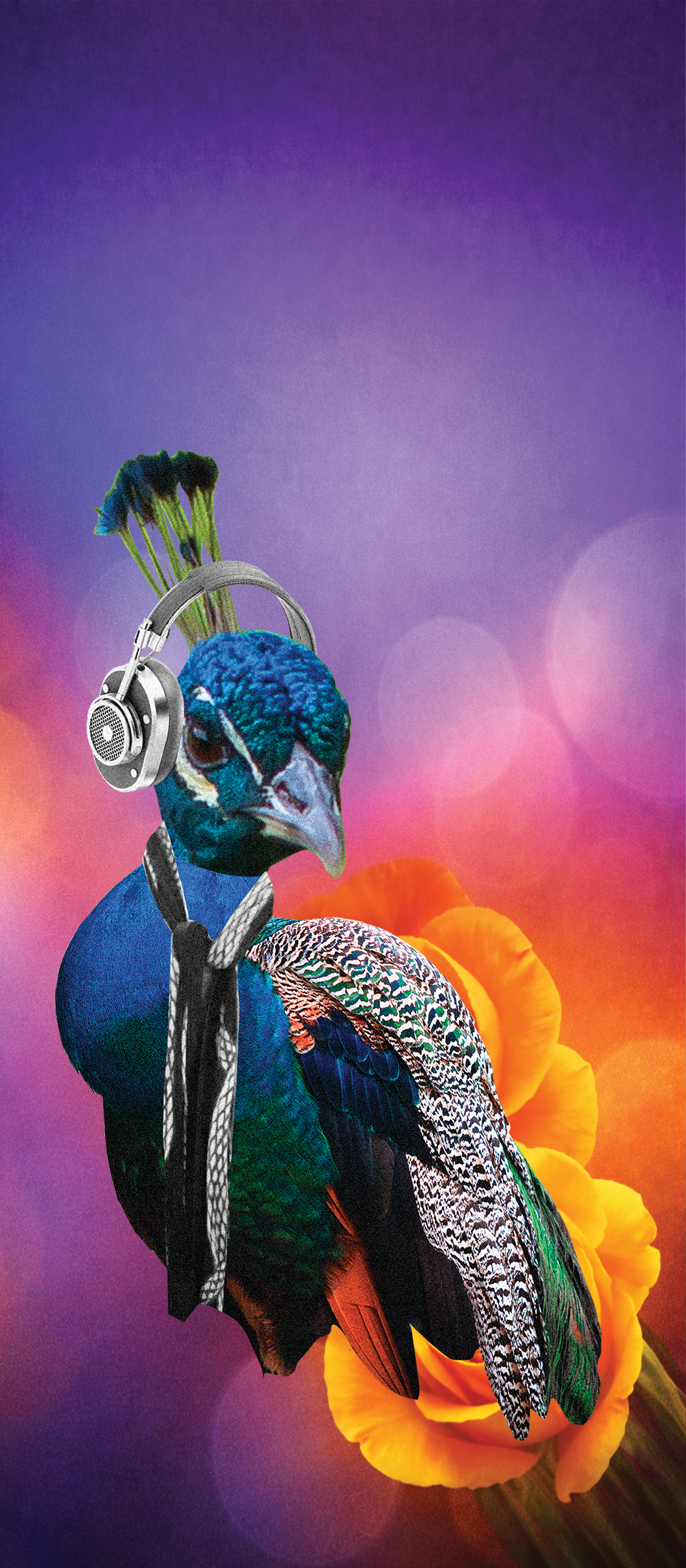 Wallpaper test 3.png