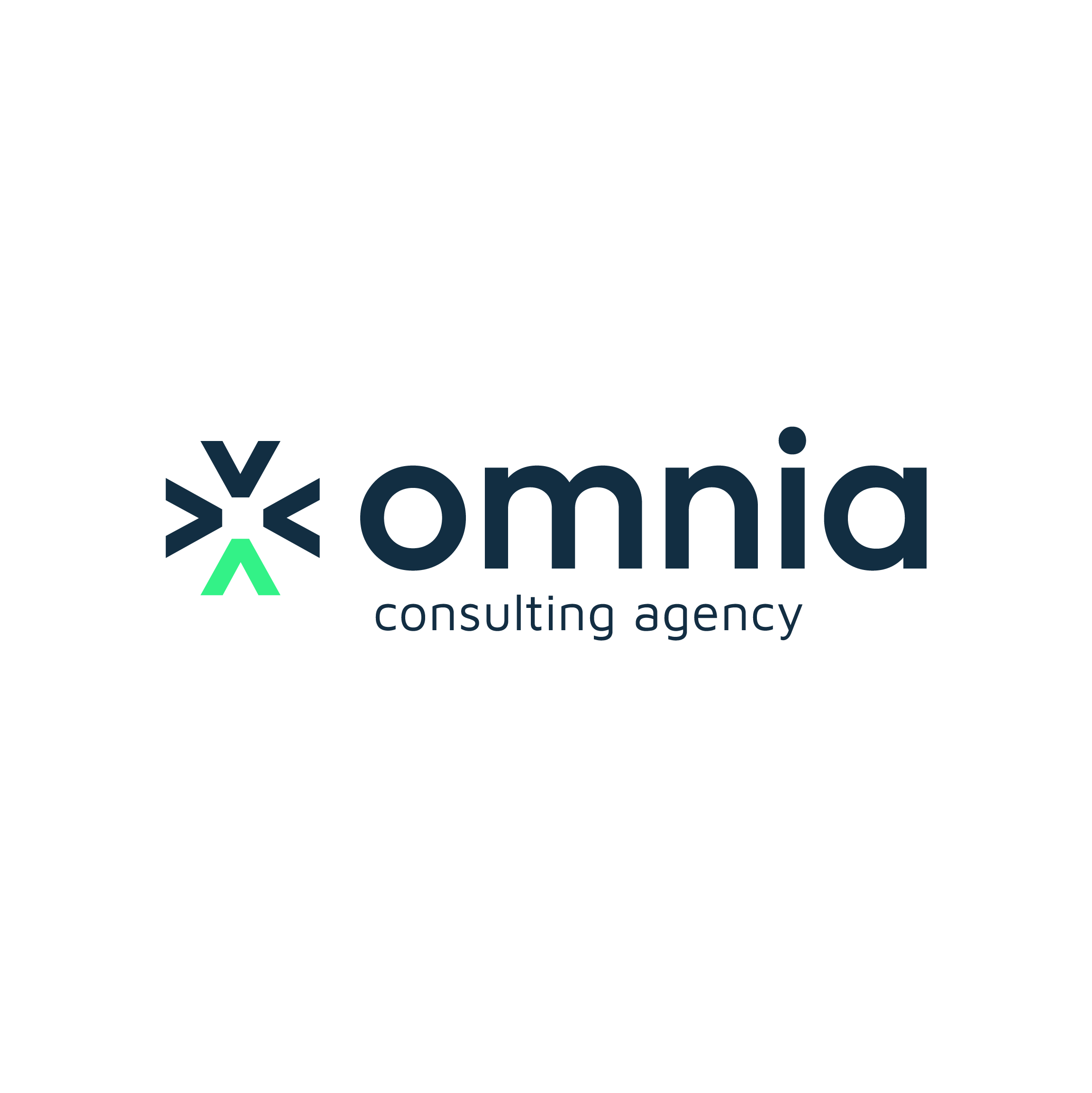 omnia consulting.png