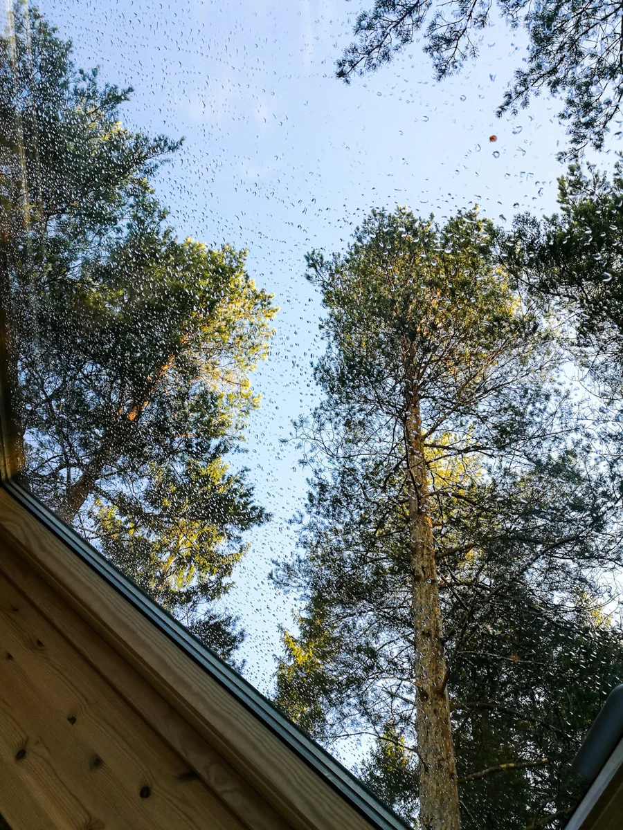 LRM_EXPORT_20180429_213513.jpg