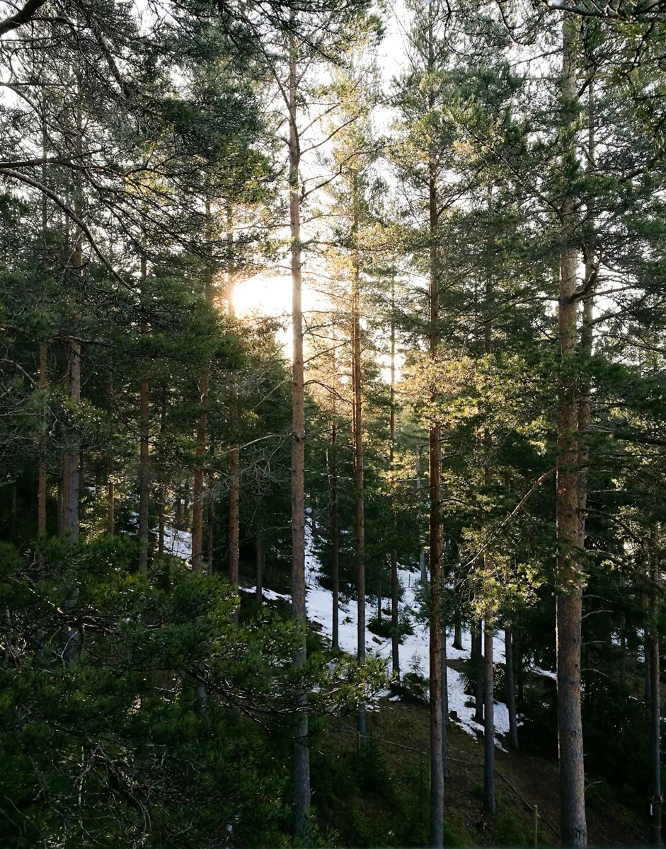 LRM_EXPORT_20180429_214325.jpg