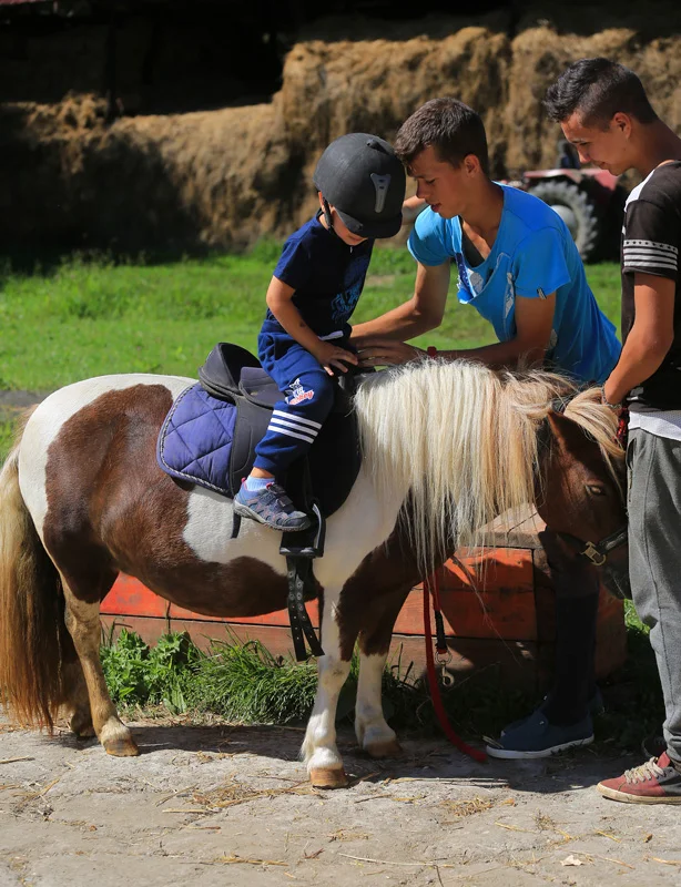 Milka … if you are up to 5yo :))