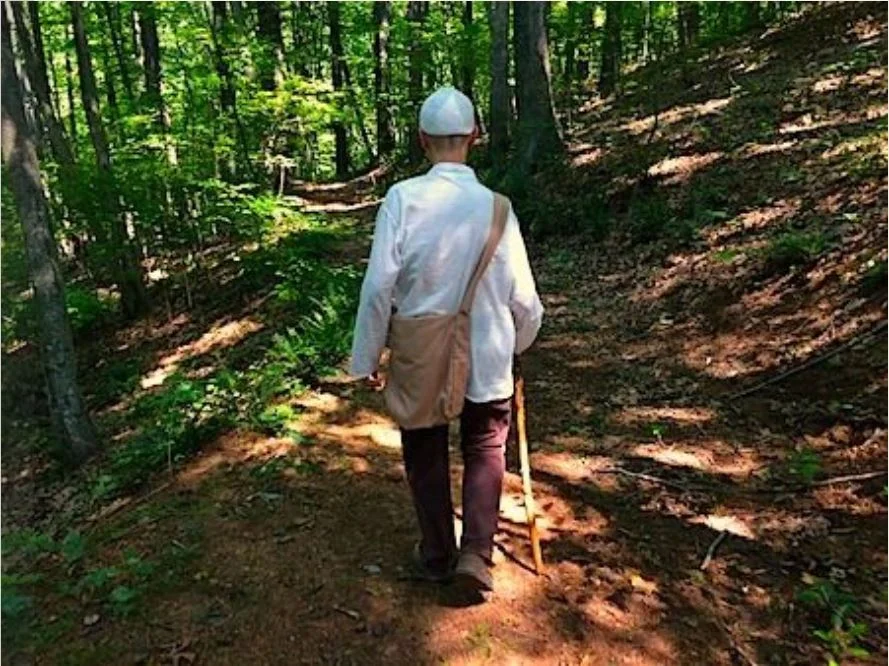 Walking in the woods.JPG