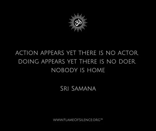 action appears_resized.jpg