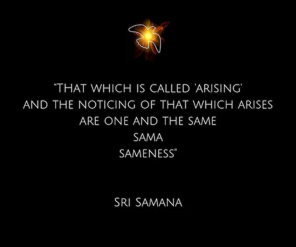 That which ist called arising_resized.jpg