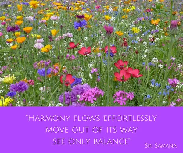 Harmony flows effortlesslymove out of its waysee only balance_resized.jpg