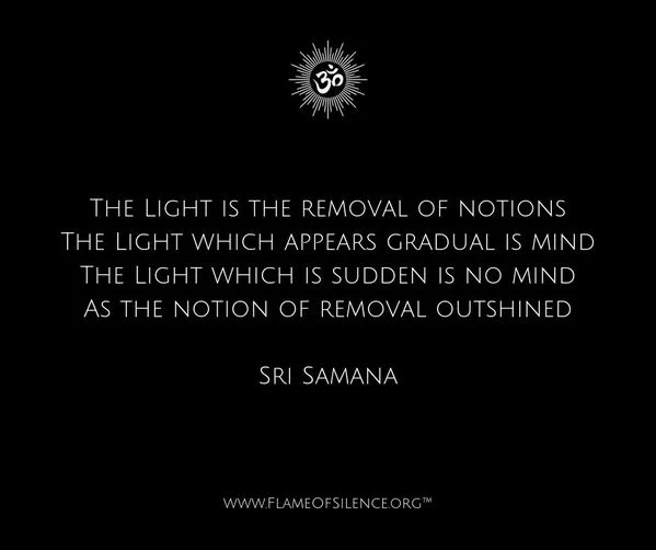 The Light is the removal.jpg