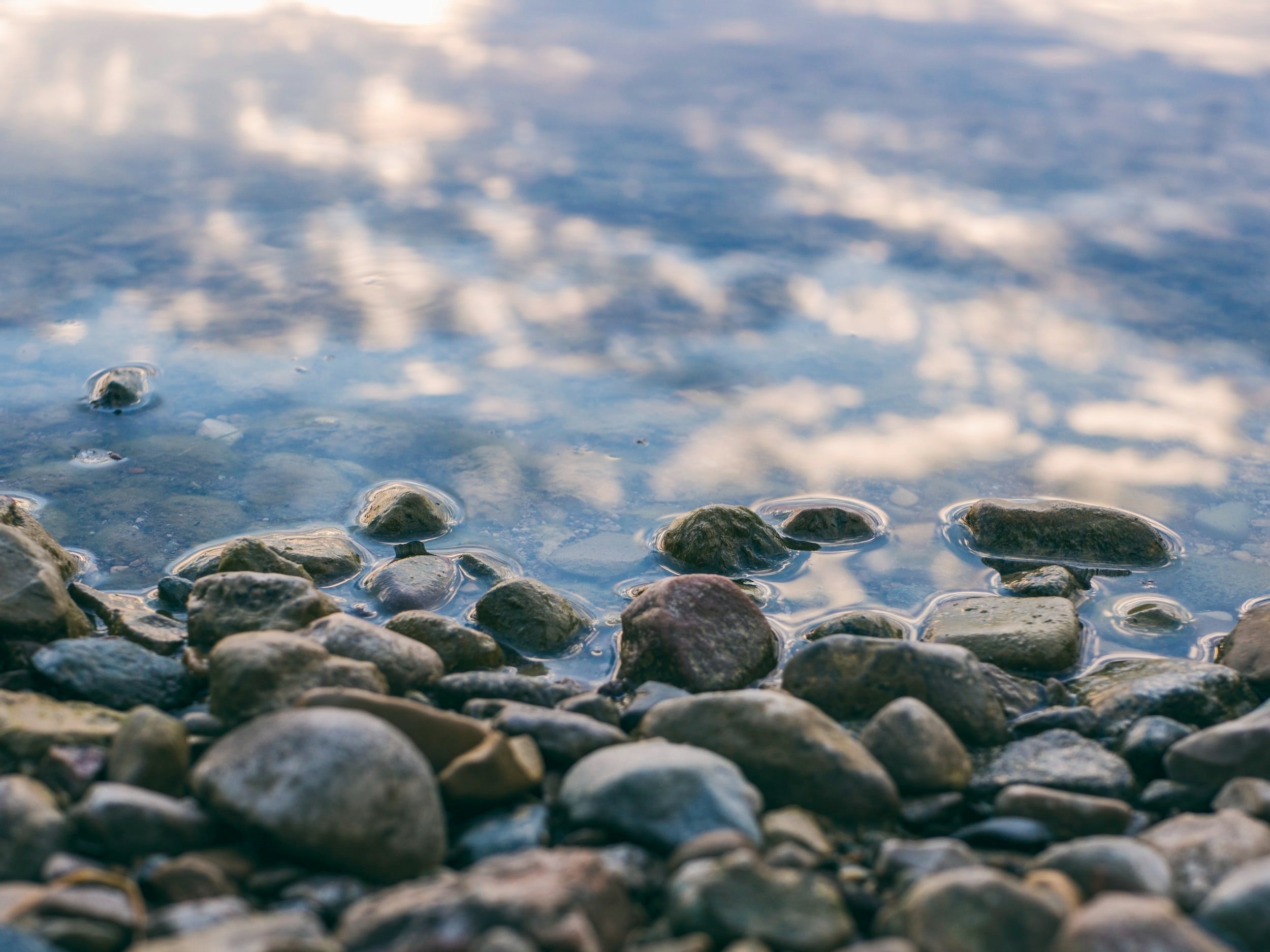 Causes We Support: CA Coastkeeper Alliance